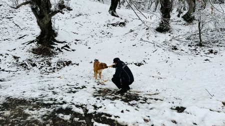 Polis gücləndirilmiş rejimdə işləyir - Fotolar