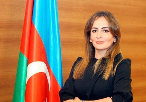 Fikrət Məmmədovun qızı deputatlığa namizəd oldu