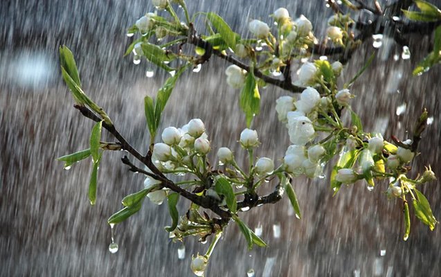 Hava kəskin dəyişir - Xəbərdarlıq